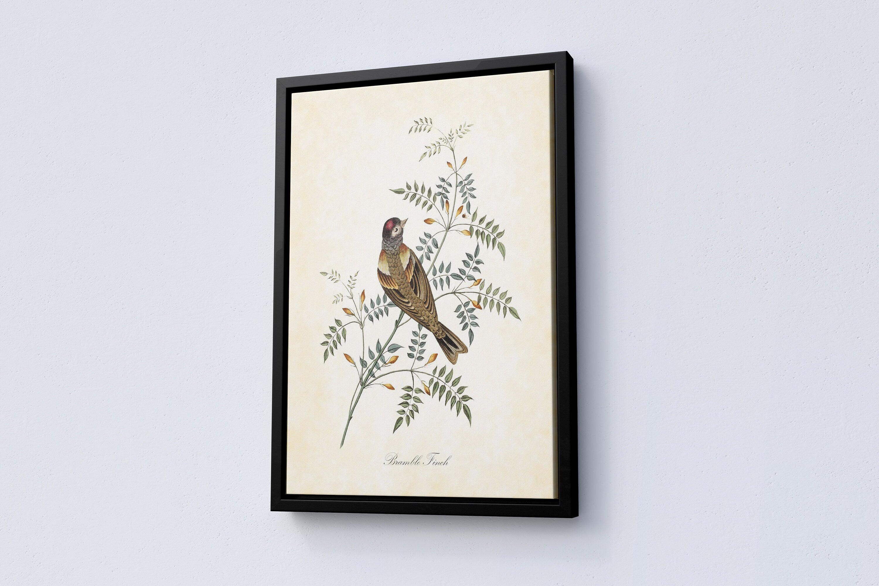 Vintage Bird Home Canvas Poster