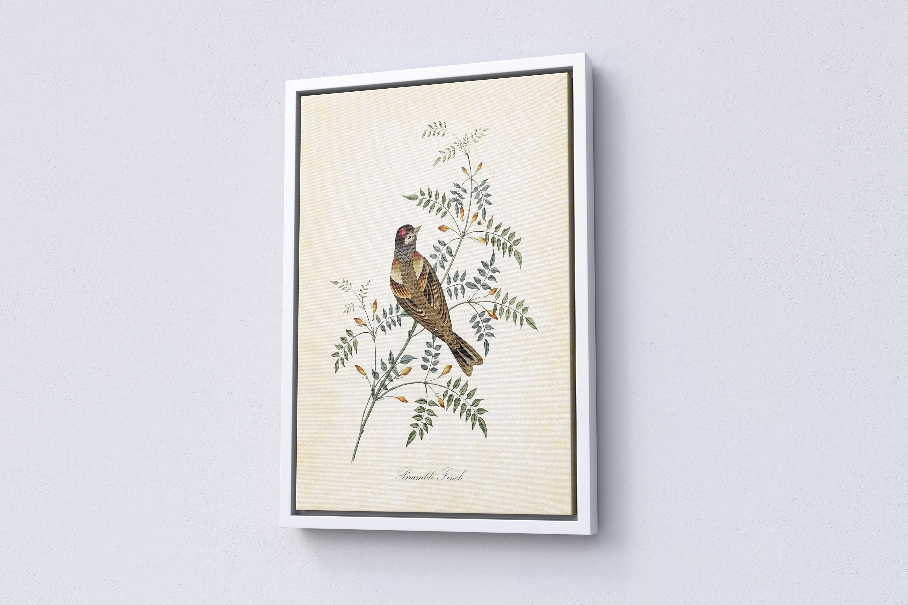 Vintage Bird Home Canvas Poster