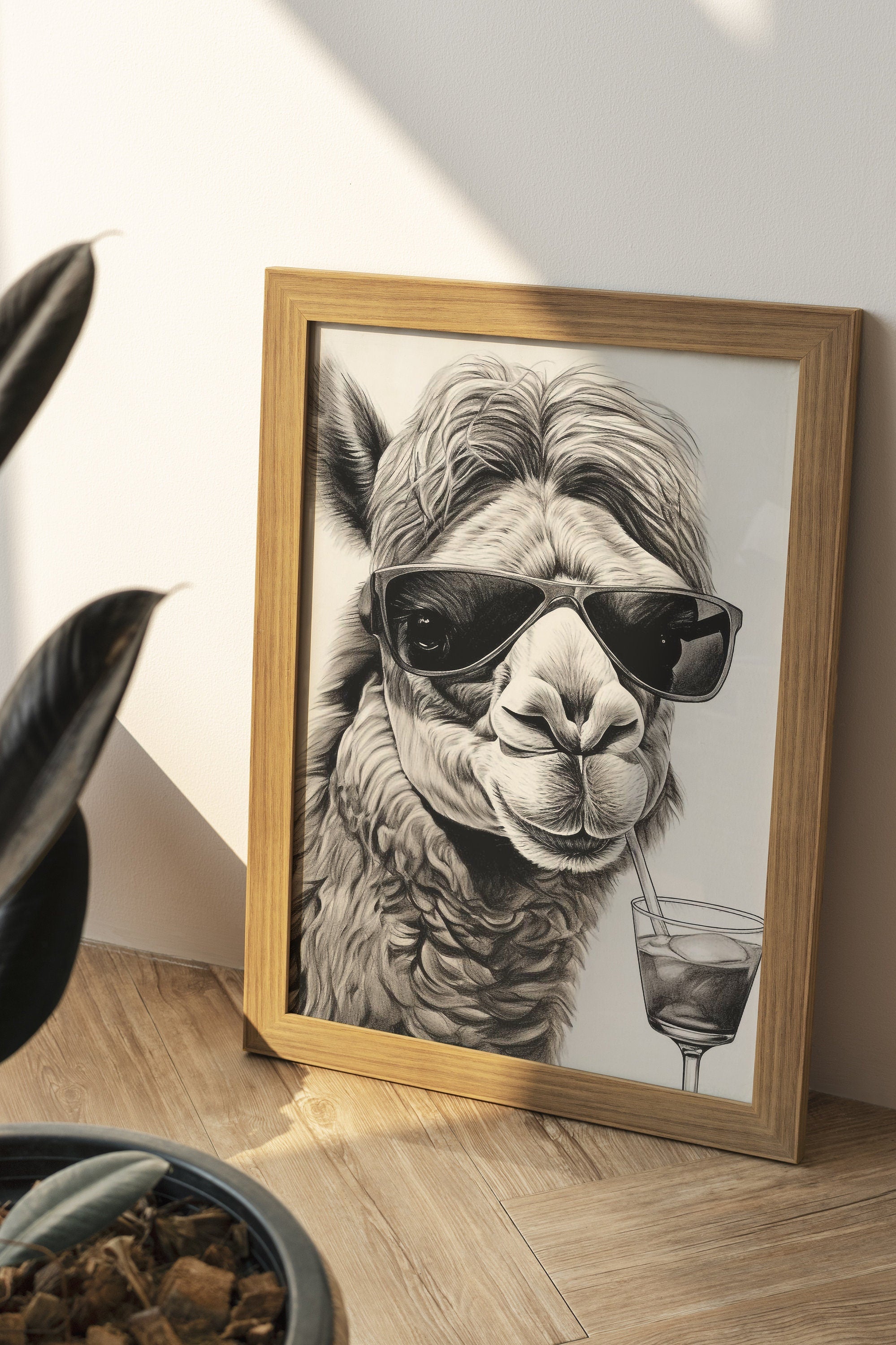 Camel with Sunglasses Canvas Poster