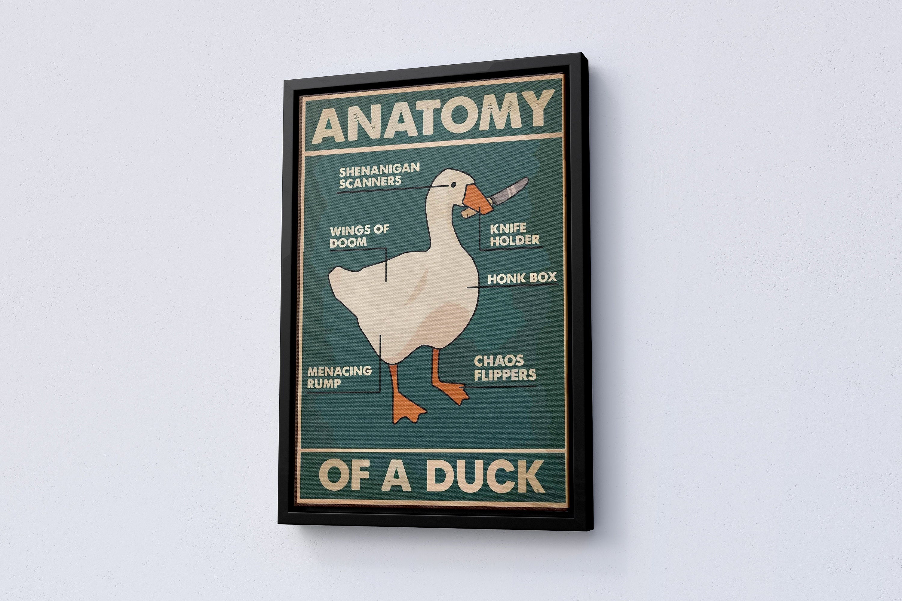 Anatomy of a Duck Canvas Poster