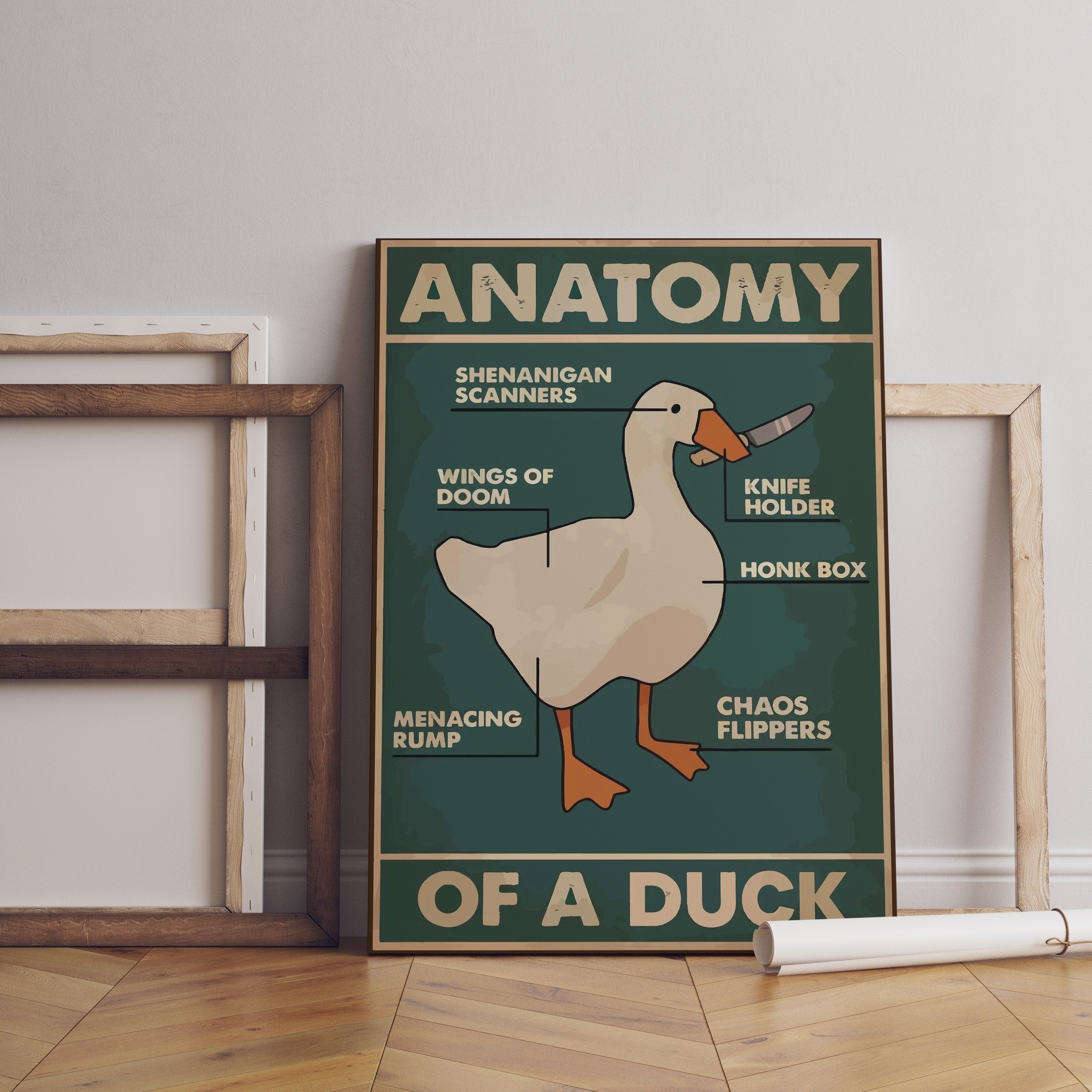 Anatomy of a Duck Canvas Poster