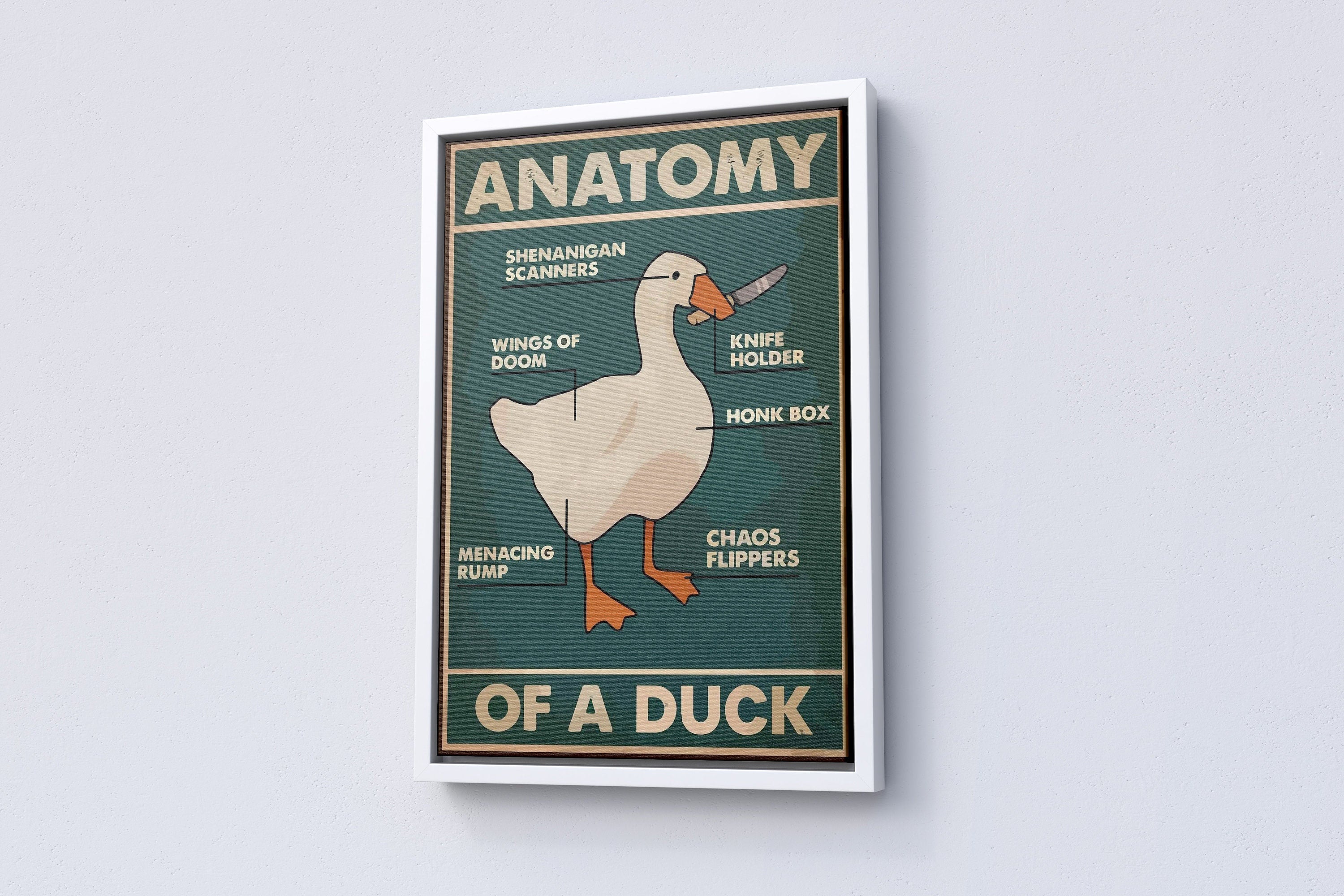 Anatomy of a Duck Canvas Poster