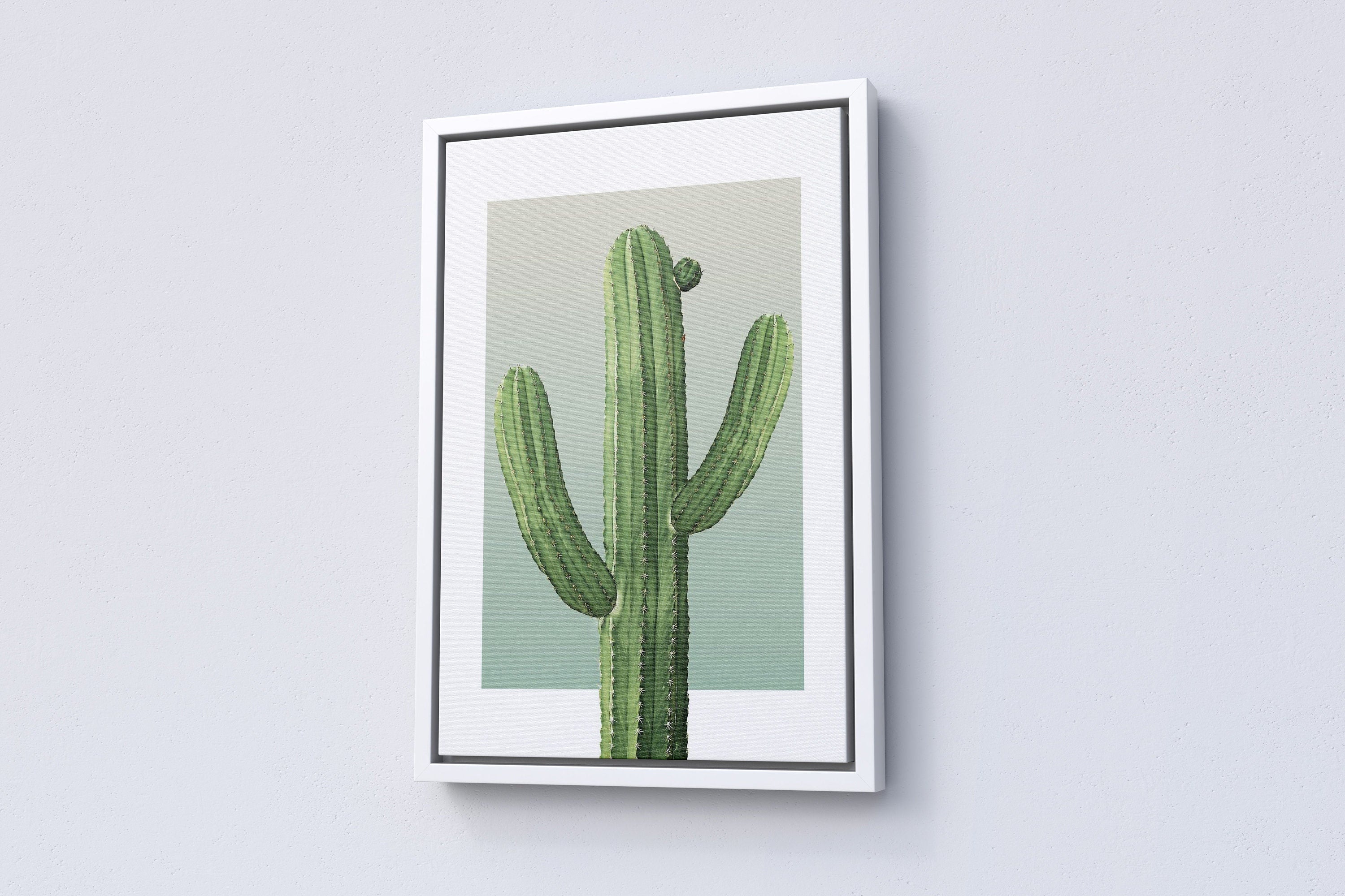 Boho Cactus Canvas Wall Art