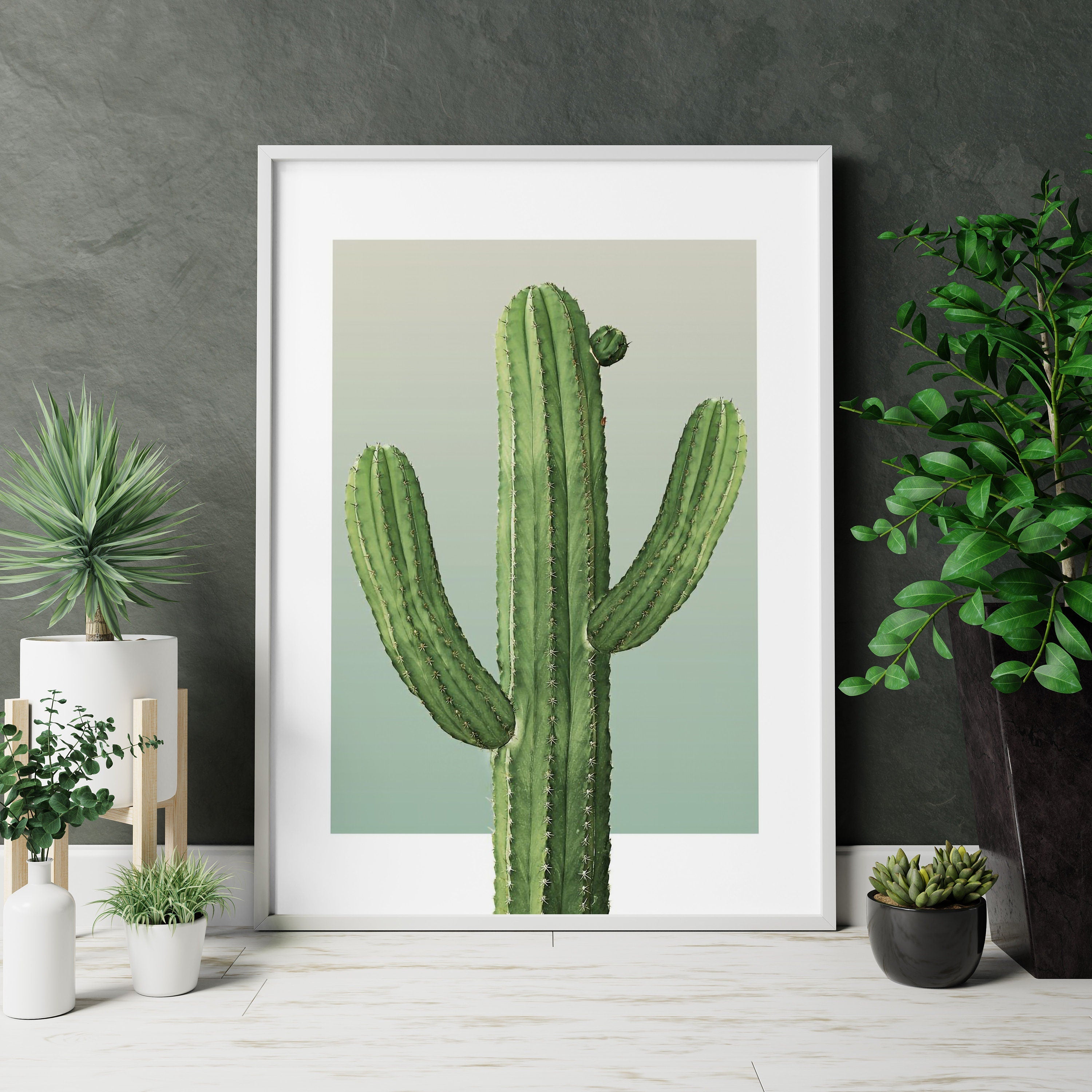 Boho Cactus Canvas Wall Art