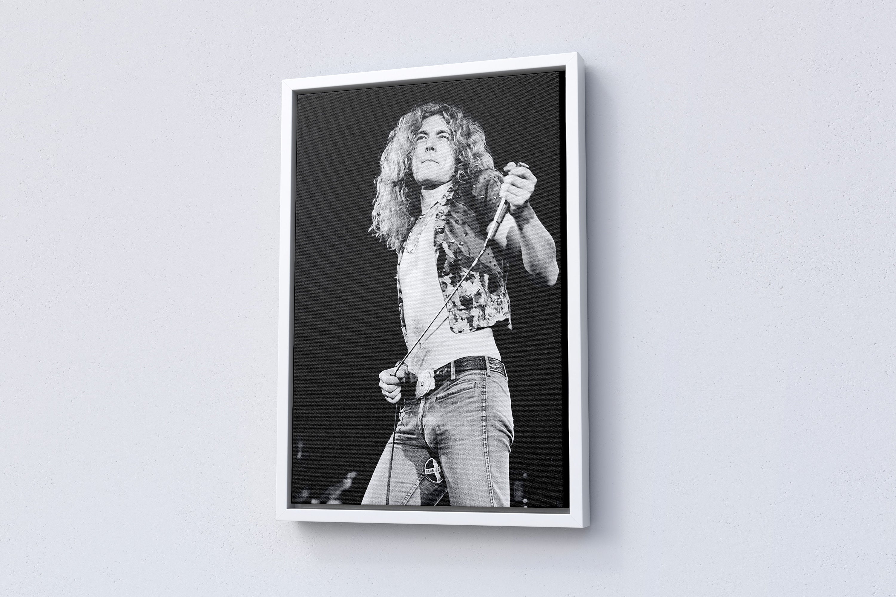 Led Zeppelin Canvas Wall Art