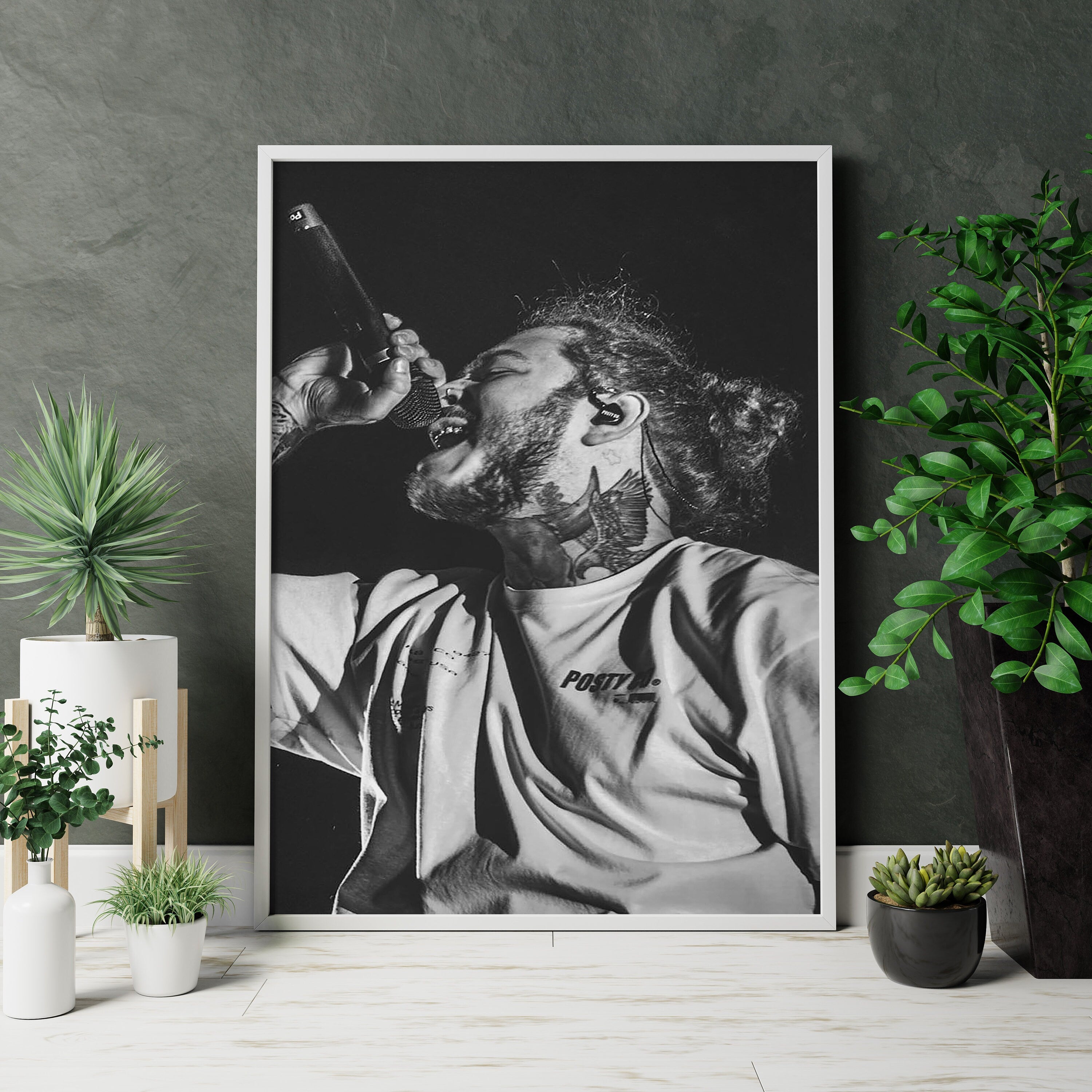 Post Malone Rap Music Album Canvas Poster