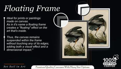 Audubon Blue Heron Canvas Art, Vintage Botanical Bird Print