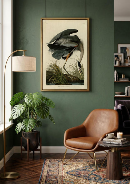 Audubon Blue Heron Canvas Art, Vintage Botanical Bird Print