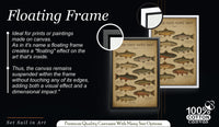 Vintage Trout Fish Identification Print