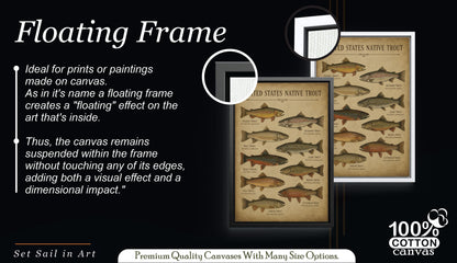 Vintage Trout Fish Identification Print