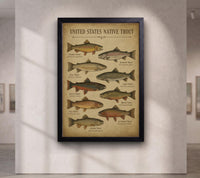 Vintage Trout Fish Identification Print