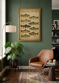 Vintage Trout Fish Identification Print
