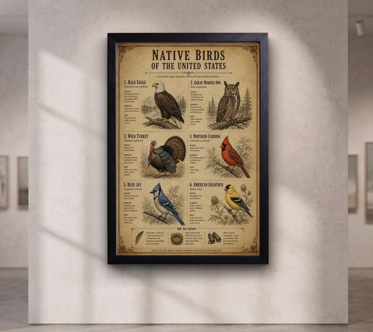 Native Birds of the United States | Vintage