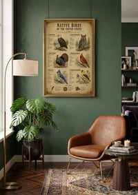 Native Birds of the United States | Vintage