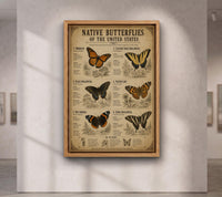 Native Butterflies of the United States | Vintage