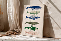 Colorful Whale canvas wall art