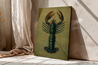 Crimson Crawfish illustrated by Charles Dessalines D' Orbigny