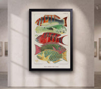 Vintage Barrier Reef Fishes Illustration Canvas Art Print