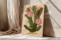 Hoodia Gordonii Botanical Print,Bushman's Hat Cactus