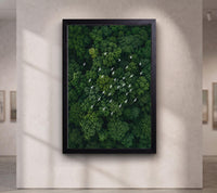 White Birds Over Emerald Forest Canvas