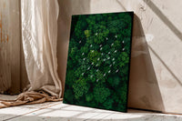 White Birds Over Emerald Forest Canvas