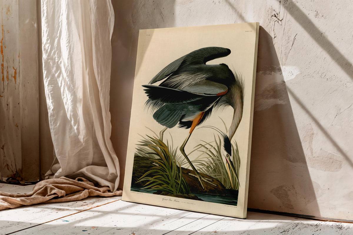 Audubon Blue Heron Canvas Art, Vintage Botanical Bird Print