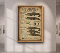 Native Crocodilians of the United States | Vintage