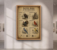 Native Birds of the United States | Vintage