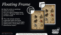 Native Birds of the United States | Vintage