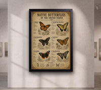 Native Butterflies of the United States | Vintage