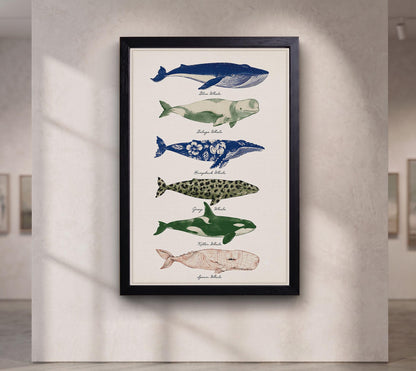 Colorful Whale canvas wall art