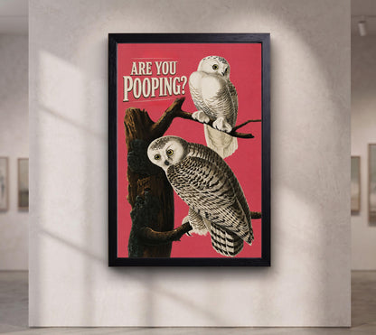 Funny Snowy Owl Wall Art, Are You Pooping Bathroom Poster, Pink Bird Print