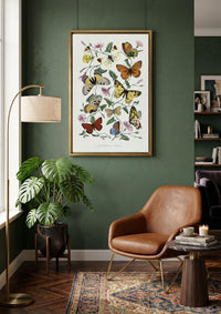 Butterflies of Le Jardin des Plantes by Paul Gervais
