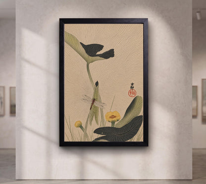 Libelle and lotus by Ohara Koson