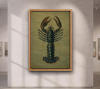 Crimson Crawfish illustrated by Charles Dessalines D' Orbigny