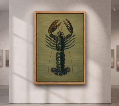 Crimson Crawfish illustrated by Charles Dessalines D' Orbigny