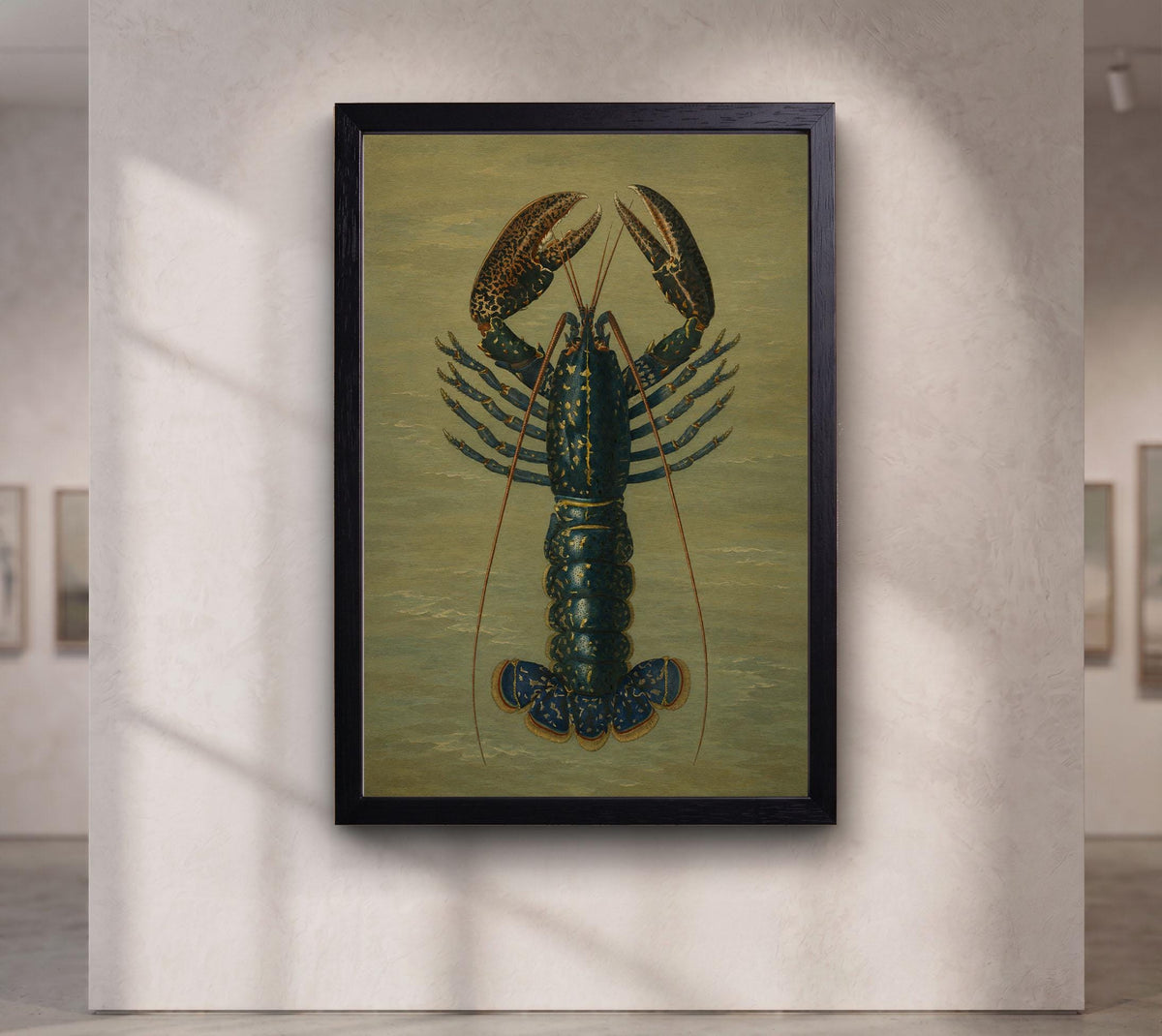 Crimson Crawfish illustrated by Charles Dessalines D' Orbigny