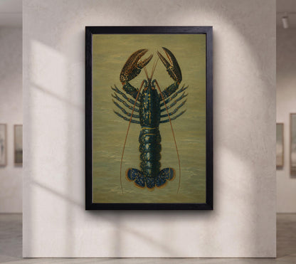 Crimson Crawfish illustrated by Charles Dessalines D' Orbigny