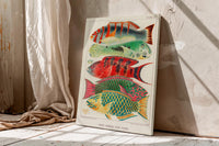 Vintage Barrier Reef Fishes Illustration Canvas Art Print