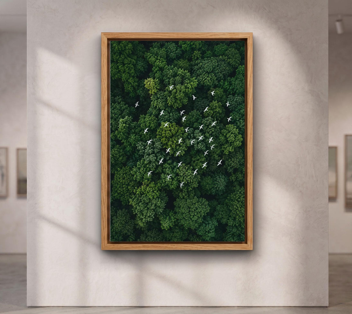 White Birds Over Emerald Forest Canvas