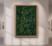 White Birds Over Emerald Forest Canvas