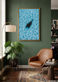 Black Cat Swimming Pool Canvas Art Print
