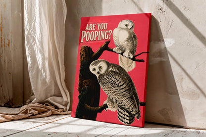 Funny Snowy Owl Wall Art, Are You Pooping Bathroom Poster, Pink Bird Print