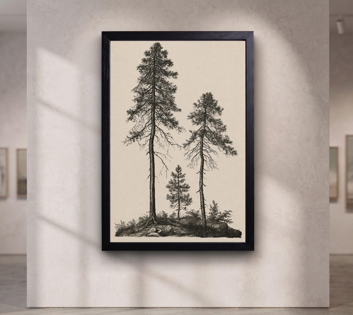 Vintage Pine Tree canvas wall art