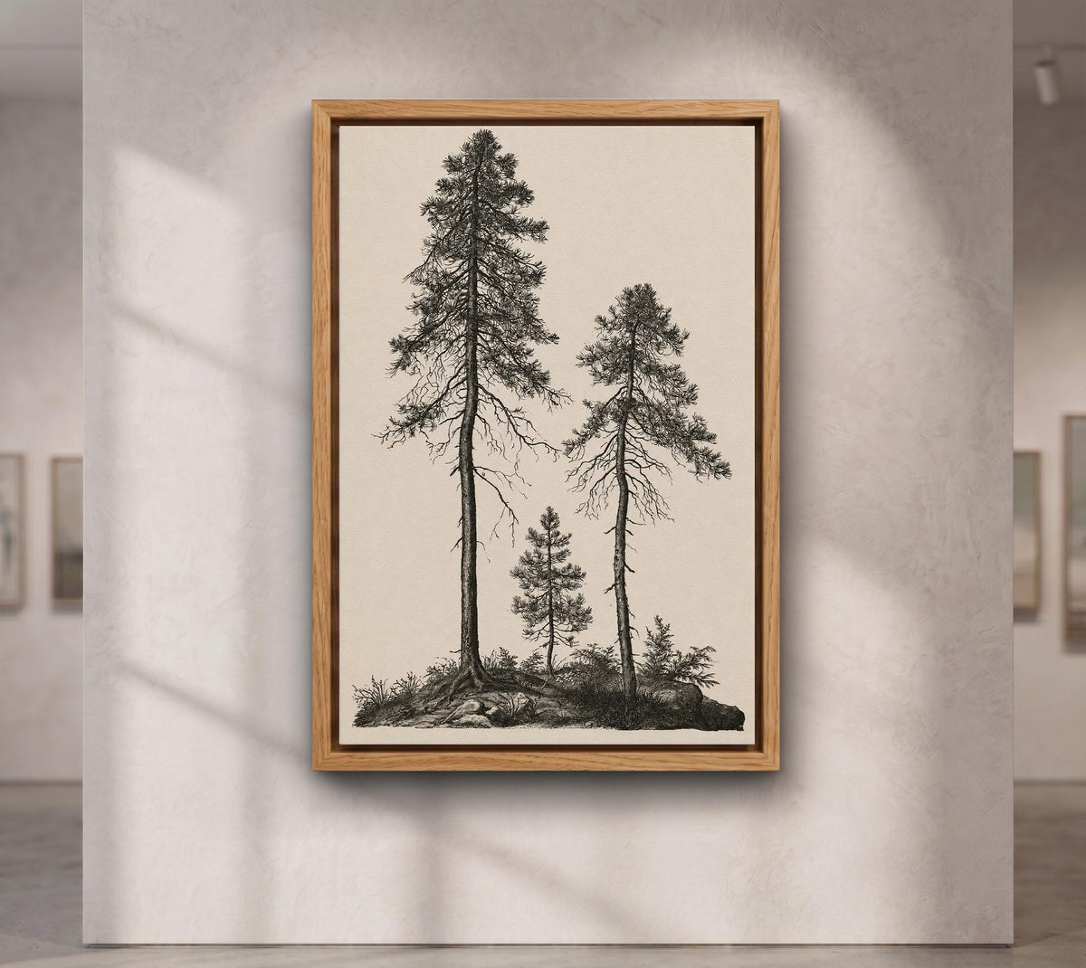 Vintage Pine Tree canvas wall art