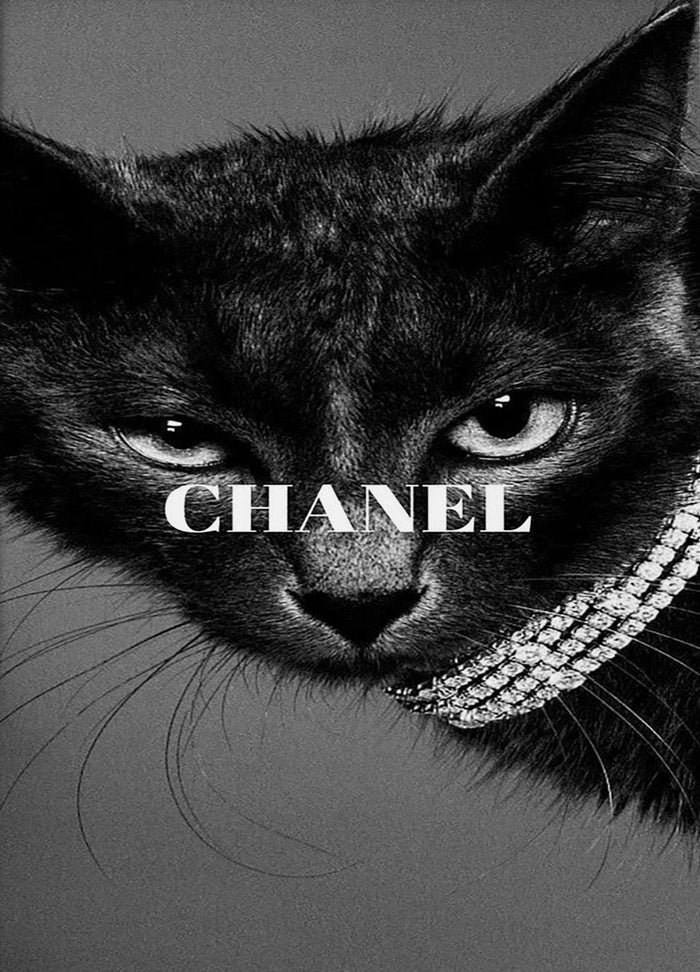 Luxury Black Cat Diamond Necklace Canvas Wall Art