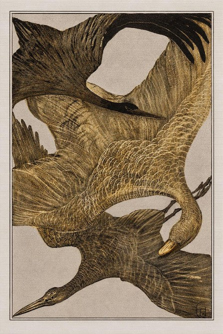 Theo van Hoytema Flying Birds Print, Antique Gold Bird Wall Art, Vintage Dutch Crane Poster