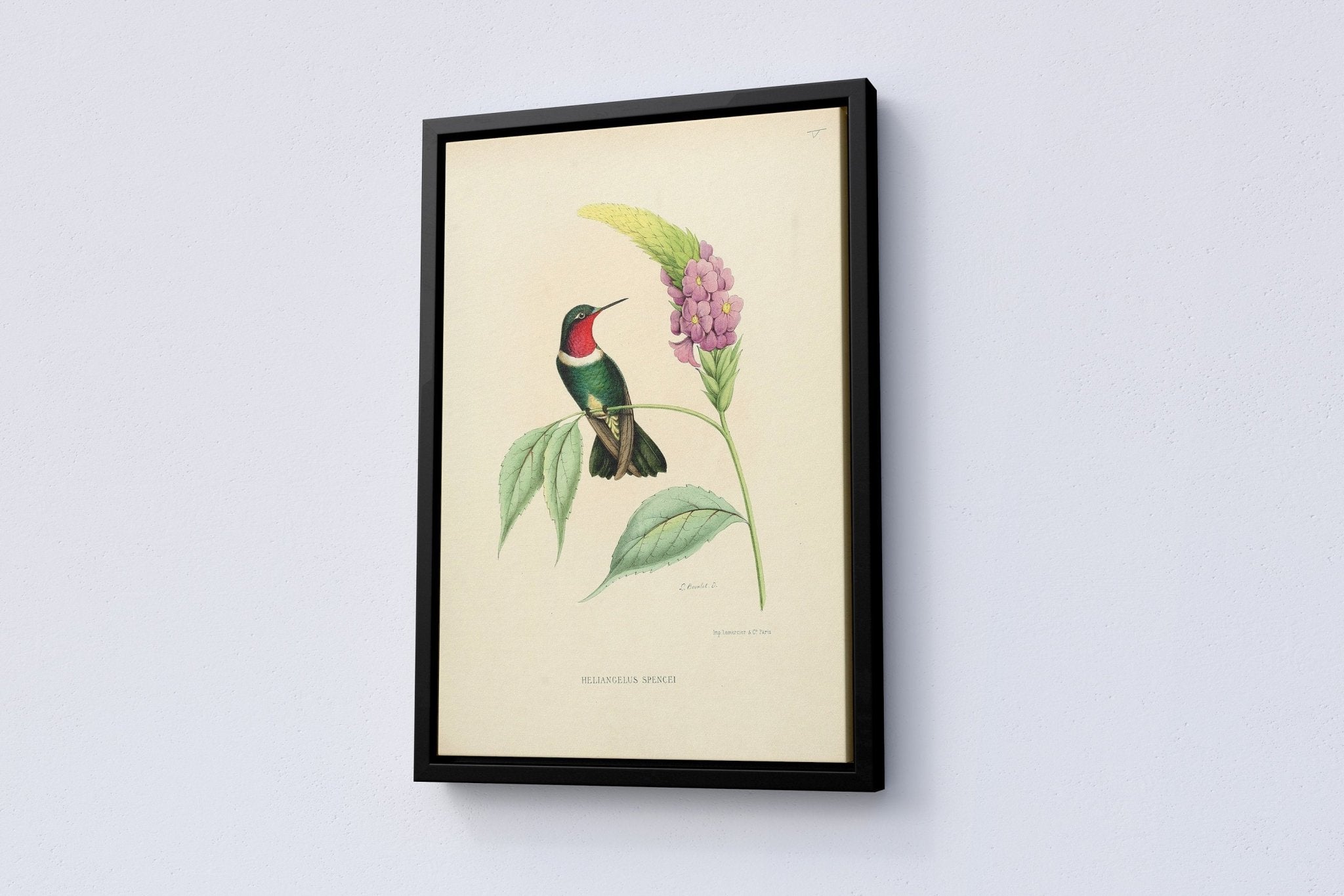 Vintage Bird Home Canvas Poster - Canvasworkshop