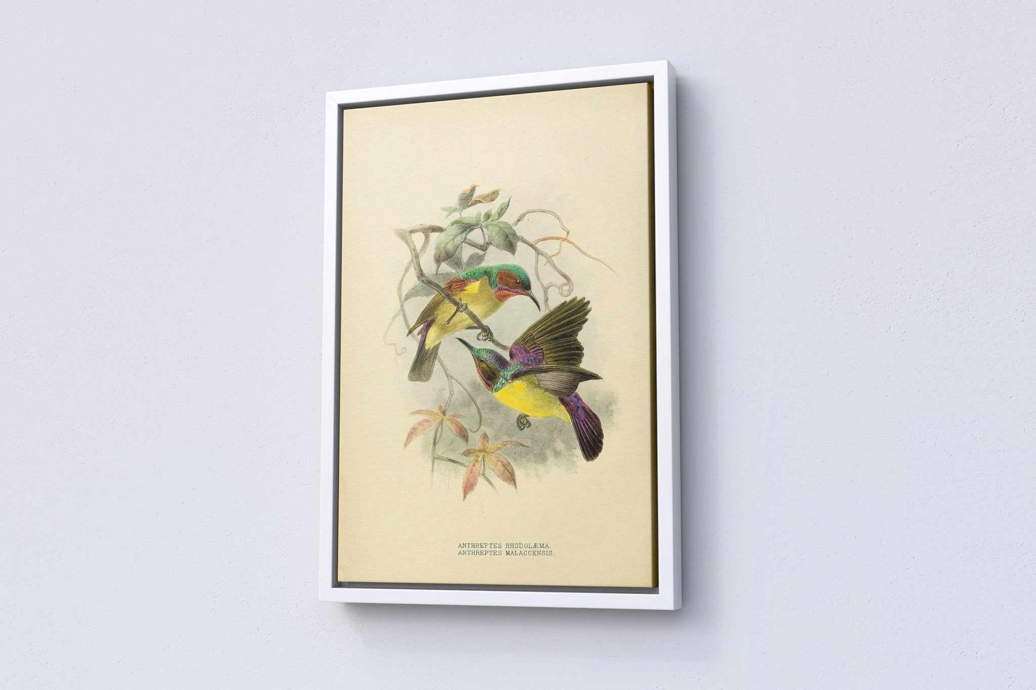 Vintage Bird Home Canvas Poster - Canvasworkshop