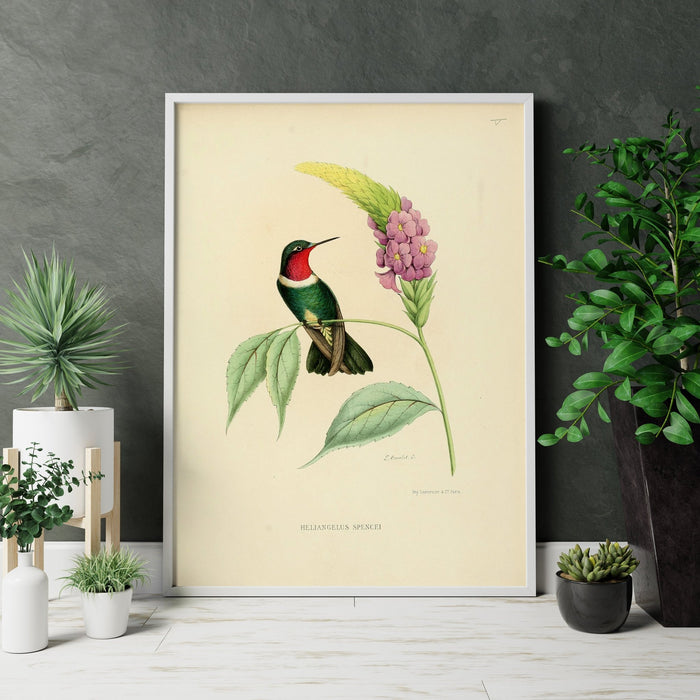 Vintage Bird Home Canvas Wall Art